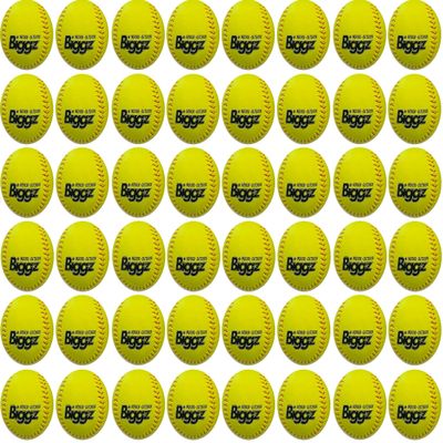 Biggz Offical Size Softballs (48 Pack)