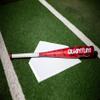 Easton | QUANTUM Baseball Bat | USSSA | -10 | 2 3/4" Barrel | 30" view 4