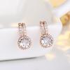 Earrings Round Diamond Zircon Stud Earrings view 3
