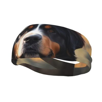Cute Bernese Mountain Dog Workout Headband, Workout Sweatband for Men/Women/Boys/Girls, Makeup Headband