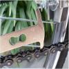 1pcs Bicycle Chain Wear Checker Indicator Repair Tool Mountain Road Chains Gauge Measurement Ruler Replacement MTB Bike Accessories view 4