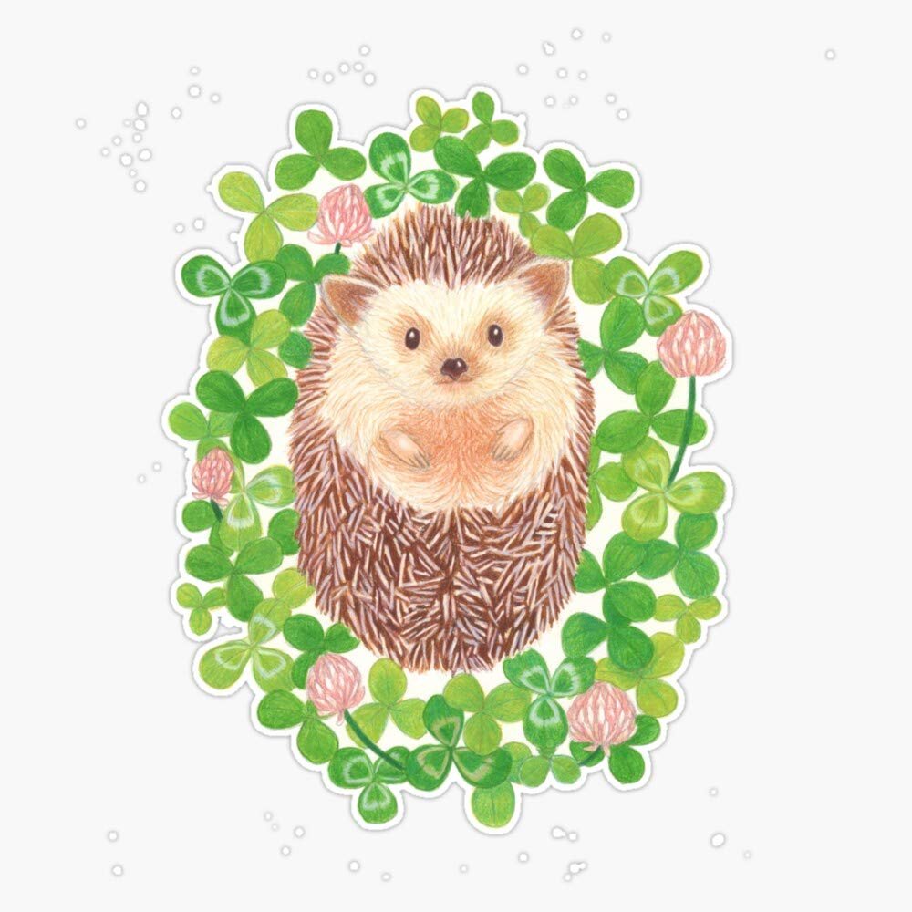 Magnet Hedgehog in Cloverfield Viny Magnetic Bumper Sticker 5"