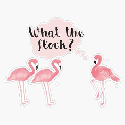 Magnet Who Gives A Flock? Viny Magnetic Bumper Sticker 5"