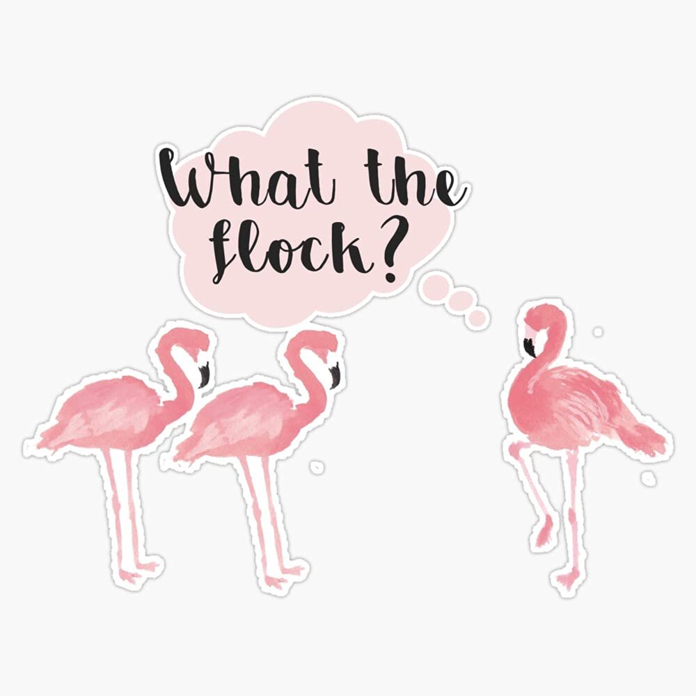 Magnet Who Gives A Flock? Viny Magnetic Bumper Sticker 5"