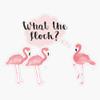 Magnet Who Gives A Flock? Viny Magnetic Bumper Sticker 5" view 1