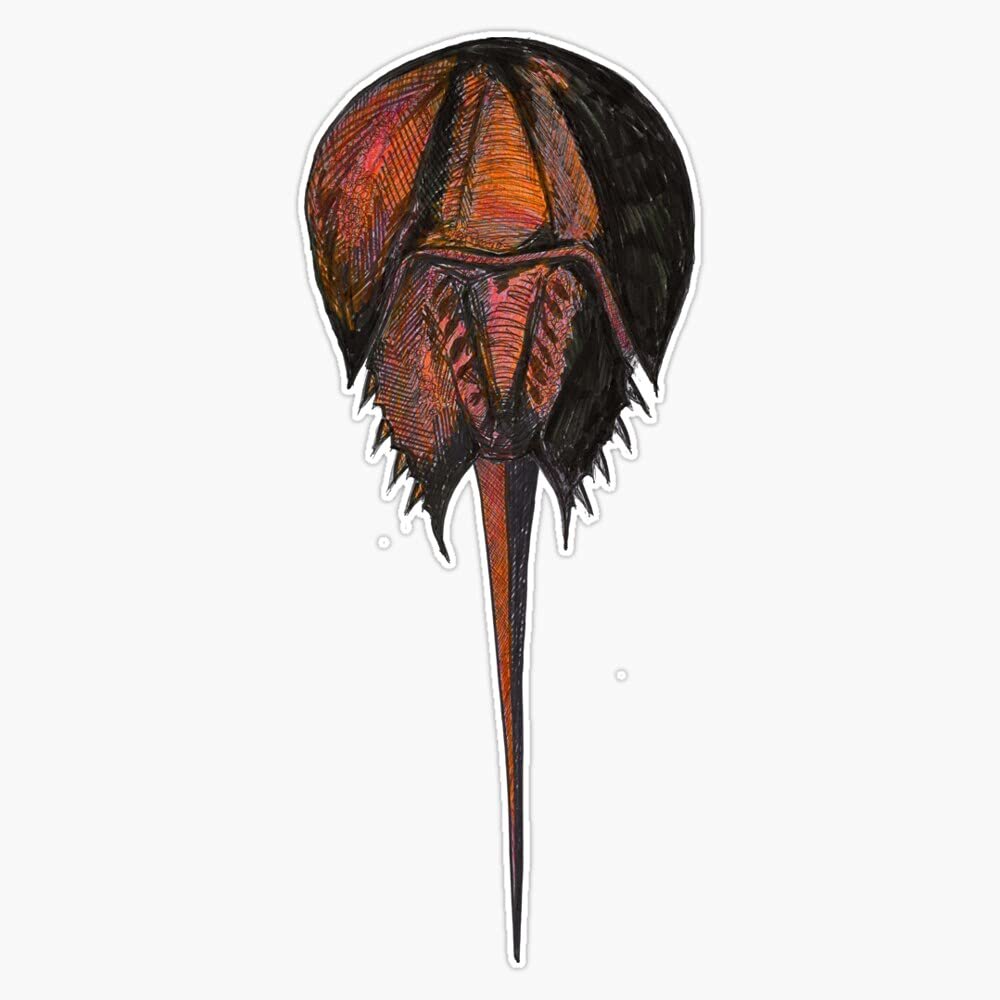 Magnet Horseshoe Crab Viny Magnetic Bumper Sticker 5"