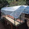 Amunpitic Transparent Tarp 7.87x6.56ft, Outdoor Tarpaulin Waterproof, Duty Heavy Tarps with Grommets, for Garden Patio Lawn Plants Greenhouse or Pet Hutch Roof, Anti-Tear, Windproof view 3