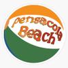 Magnet Pensacola Beach Ball Viny Magnetic Bumper Sticker 5" view 1