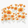 Magnet California Poppy Viny Magnetic Bumper Sticker 5" view 1