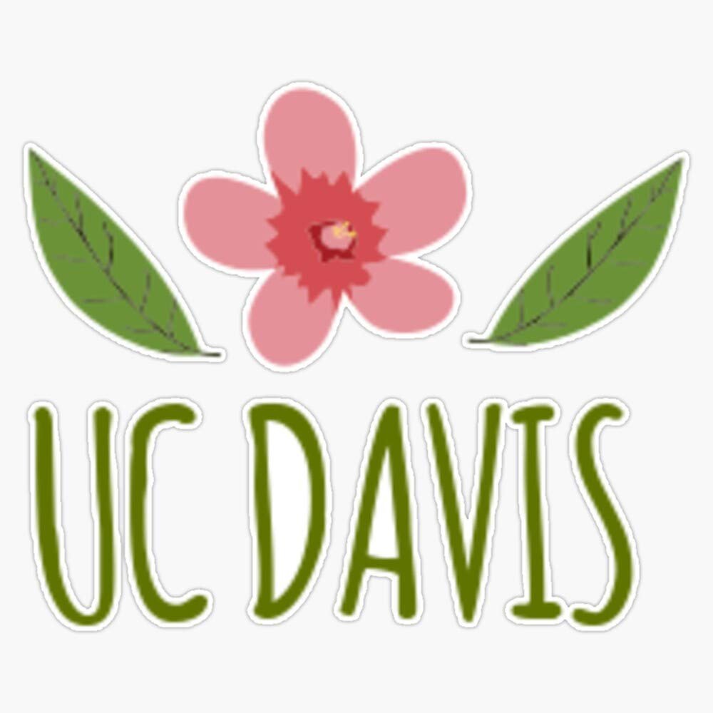 Magnet Uc Davis - University of California, Davis Flower Viny Magnetic Bumper Sticker 5"