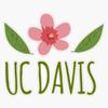 Magnet Uc Davis - University of California, Davis Flower Viny Magnetic Bumper Sticker 5" view 1