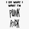 Magnet Punk Rock Viny Magnetic Bumper Sticker 5" view 1