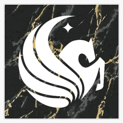 Magnet UCF Knights Marble Viny Magnetic Bumper Sticker 5"
