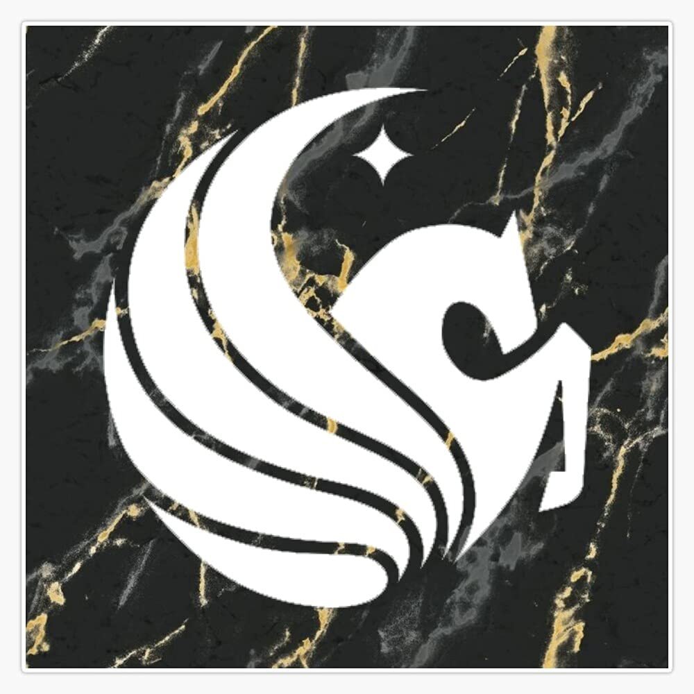 Magnet UCF Knights Marble Viny Magnetic Bumper Sticker 5"