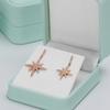 Papten Leather Earring Gift Box Earring Box Jewelry Gift Boxes Trinket Storage Case Showcase Display for Anniversary Birthday view 2