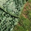 ELZEM Camo Netting Large Camouflage Net Green, Army Sunscreen Net for Hunting Shooting Hide Military Garden Decoration 1x2M,2x3M,1.5x4M,2x5M,2x6M,2x8M,3x3M,4x5M,4x6M,6x6M (Size : 1.5x4m/4.9x13.1ft) view 4