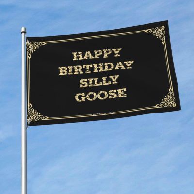 Funy Flags Happy Birthday Silly Goose Flag Funny Bedroom Decor Man Cave Accessories And Decor (Color : Colour, Size : 120X180CM)