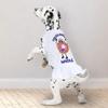 Funny Donut Dog Sundress - Unique Dog Dress Shirt - Humor Dog Clothing - White, L view 3