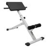 Roman Chair Hyperextension Bench White Back Extension Bench Multipurpose Adjustable 39-45inch Exercise Equipment Back Exercise Machine for Home Gym- Up to 330 lbs Weight Capacity view 1