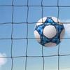 Megagreen Movable Soccer Backstop Net: 20FT X 10FT High Impact Heavy Duty Ball Stop System view 3