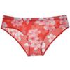 Botmois Men's Printed Mesh Briefs Underwear See Through Triangle Underwear Breathable Underpants Flat Pouch Sheer Lingeries 3-Pack(Wintersweet) XL view 2