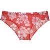 Botmois Men's Printed Mesh Briefs Underwear See Through Triangle Underwear Breathable Underpants Flat Pouch Sheer Lingeries 3-Pack(Wintersweet) XL view 3