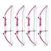 Genesis Archery 4 Pack Original Compound Bow with Adjustable Riser, 15"-30" Draw Length, 10-20 lb Draw Weight, Draw Hand - Right, Pink view 1