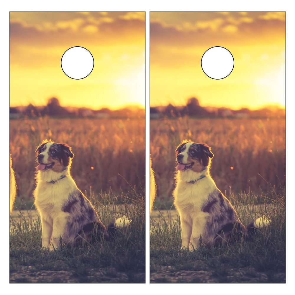 Cornhole Board Wraps Border Collie Sunset Cornhole Skins for Boards,Skin Decal Vinyl Wrap for Cornhole Game Board Bag Toss (2xpcs.)