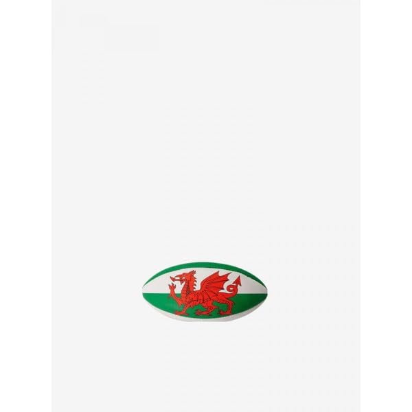 Canterbury Ball Anthem Mini Ball Unisex AA03464 65_Red