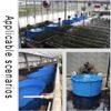 zktoermn Pool Above Ground, Round Children's Pool Canvas Fish Pond Pool Aquarium Pool Pond with Steel Frame and Drain Valve for Ponds Fish Tank Koi Goldfish (Color : Blue, Size : 1.5X0.8M/1400L) view 4