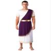 ACSUSS Mens Halloween Ancient Greek Toga Dress Up Costumes Short Sleeve Retro Gold Cosplay Roman Robe Purple 3X-Large view 1