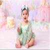Dresses for Baby Girls 1st First Birthday Party Dress Newborn Fairy Tulle Tutu Bubble Romper Flower Embroidery Long Sleeve Bodysuit One Year Old Cake Smash Outfit Photo Shooting Sage Green 0-3M view 2