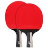 DUDSME Lerten Table Tennis Racket Professional Training Ping Pong Paddle with Carry Bag Excellent Control Suitable for Family Activity and Sports Club / 4 Star/A view 1