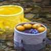 Travel Foldable Bucket Portable Camping Picnic Fishing Bucket Live Fish Outdoor Multifunctional feet Bathing tub view 4