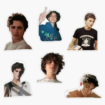 Timothee Chalamet Pack Bumper Sticker Vinyl Decal 5"