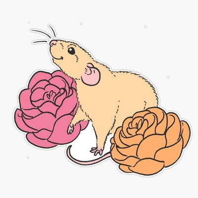 Rat and Roses Fawn Bumper Sticker Vinyl Decal 5"