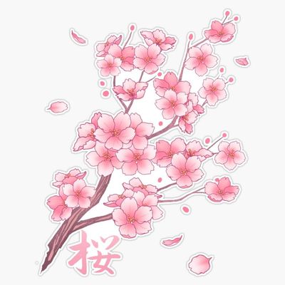 Falling Pink Sakura Cherry Blossom Branches On White Bumper Sticker Vinyl Decal 5"