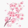 Falling Pink Sakura Cherry Blossom Branches On White Bumper Sticker Vinyl Decal 5" view 1