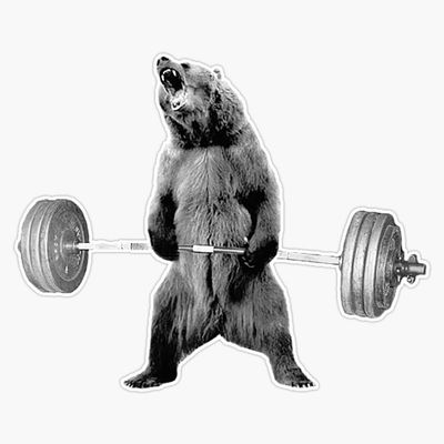 Bear Deadlift Bumper Sticker Vinyl Decal 5"