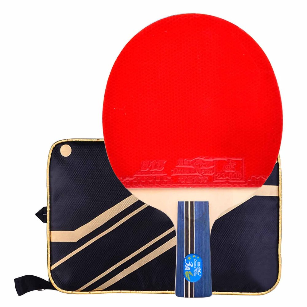 DUDSME Ping Pong Paddle Table Tennis Bat 3 Star Arc Circle Fast Attack Racket Comfortable Handle with Excellent Speed Spin and Control/A/Short Handle