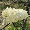 Kids Camo Netting, Beige Camouflage Netting Camouflage Net Outdoor Army Shade Cloth Greenhouse Shading Net Sunshade Mesh 2x2m 3x3m 4x4m for Hunting Military Decorations Party Shooting ( Size : 3m x 5m view 1