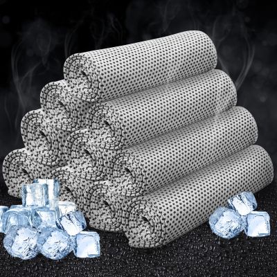 Honoson 10 Pcs Cooling Towel Bulk - Neck & Face Cool Chilly Towels Microfiber Breathable Sport Sweat Rag for Gym, Yoga, Travel, Camping, Running, Outdoor (Grey)