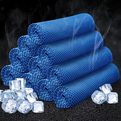 Honoson 10 Pcs Cooling Towel Bulk - Neck & Face Cool Chilly Towels Microfiber Breathable Sport Sweat Rag for Gym, Yoga, Travel, Camping, Running, Outdoor (Navy)