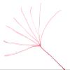 Seashark Braided Fishing Line Color Never Fade 8 Strands Super Strong PE Fishing Line Abrasion Resistant Fishing Wire Zero Stretch Multiple Colors 6lb to 300lb view 4