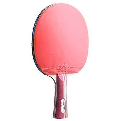 DUDSME Ping Pong Paddle Table Tennis Bats with Excellent Control and Spin Suitable for Kids Adults Indoor and Outdoor Activities/A/Long Handle