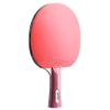 DUDSME Ping Pong Paddle Table Tennis Bats with Excellent Control and Spin Suitable for Kids Adults Indoor and Outdoor Activities/A/Long Handle view 1