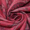 Ciormis Paisley Pashmina Shawls and Wraps, Red Elegant Silky Paisley Shawls and Scarfs for All Season(Style4-Red) view 2