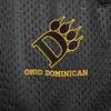 Campus Lab Ohio Dominican University Primary Mark Men's Adult Athletic Gym Shorts 7" Inseam, Black, 2X-Large view 4