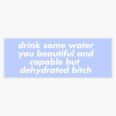 Drink Some Water You Beautiful and Capable But Dehydrated Bitch Purple Vinyl Sticker Waterproof Bumper Sticker Laptop Window 5"
