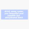 Drink Some Water You Beautiful and Capable But Dehydrated Bitch Purple Vinyl Sticker Waterproof Bumper Sticker Laptop Window 5" view 1